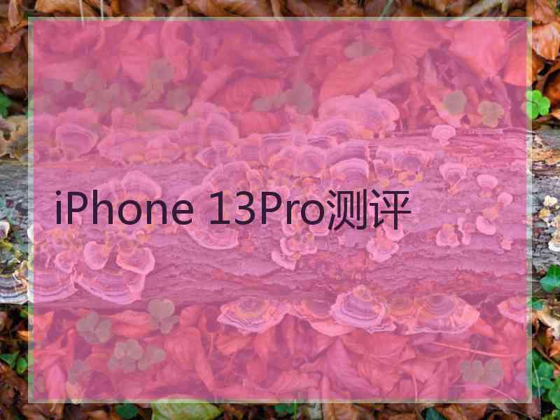 iPhone 13Pro测评