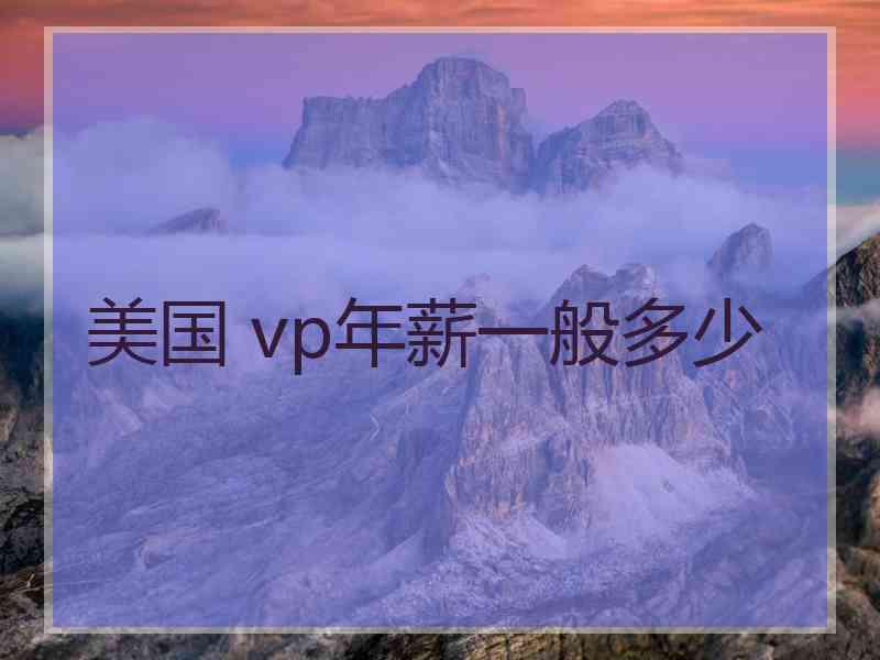 美国 vp年薪一般多少