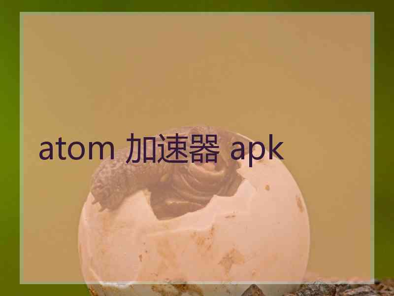 atom 加速器 apk