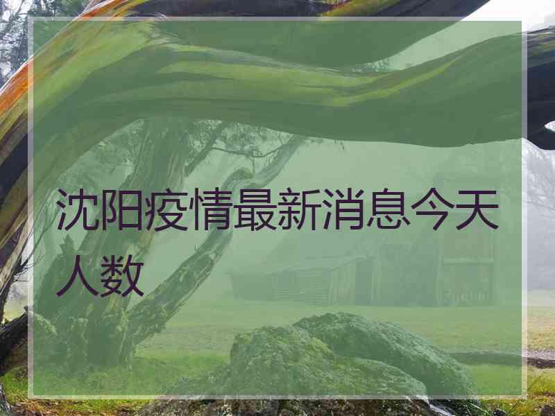 沈阳疫情最新消息今天人数