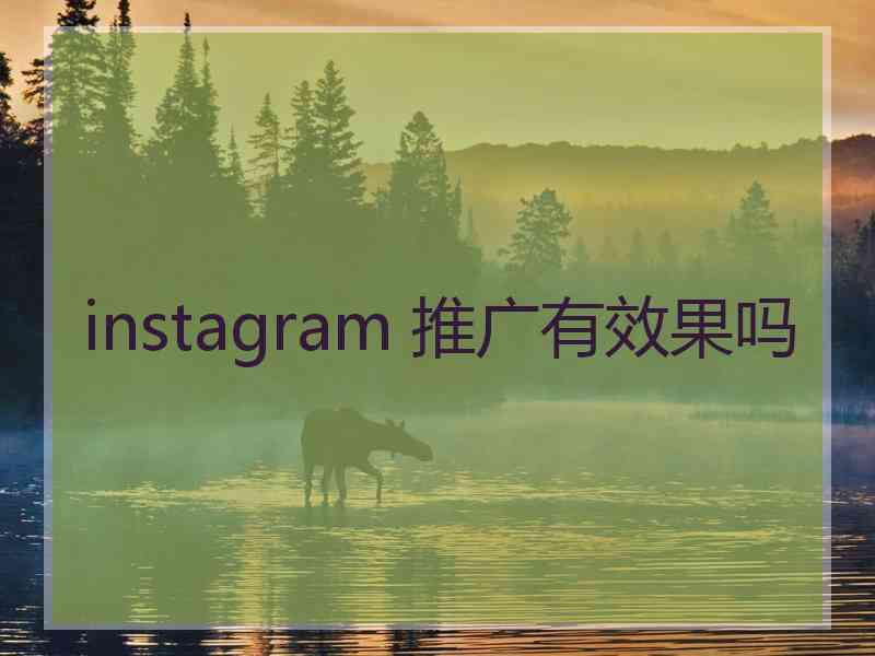 instagram 推广有效果吗