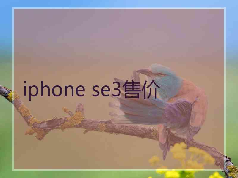 iphone se3售价