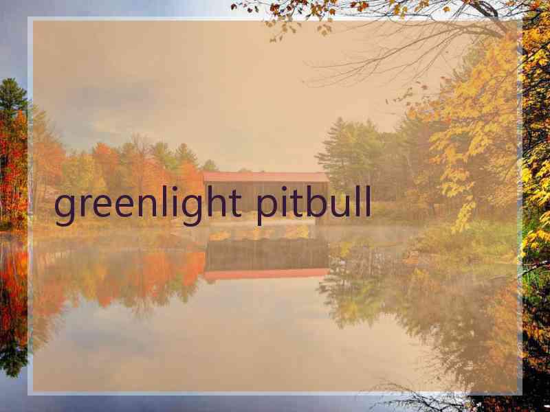 greenlight pitbull