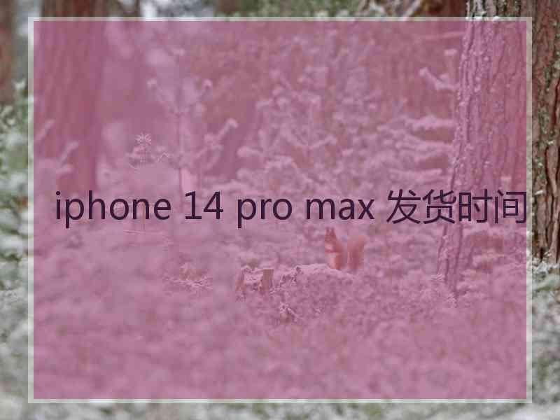 iphone 14 pro max 发货时间