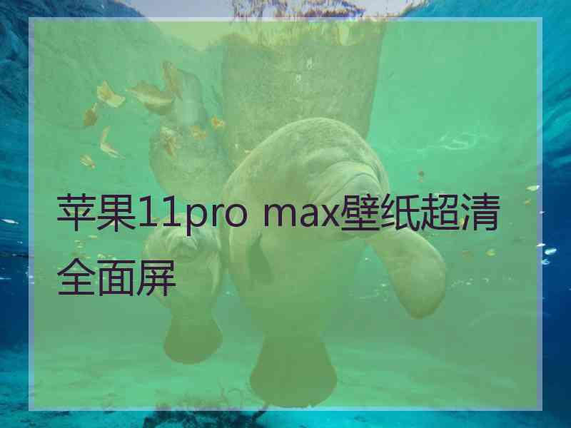 苹果11pro max壁纸超清全面屏