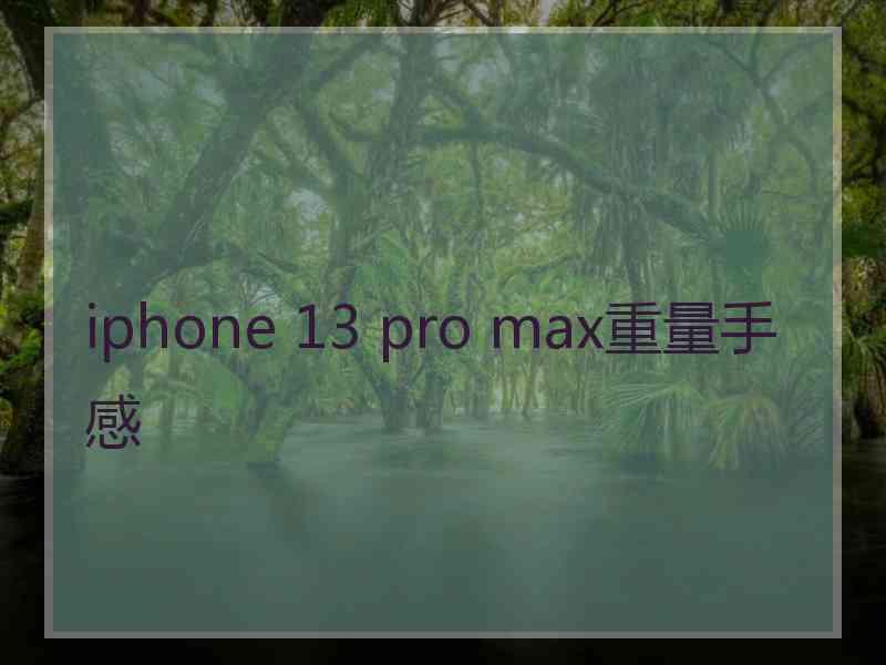 iphone 13 pro max重量手感