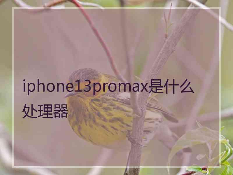 iphone13promax是什么处理器