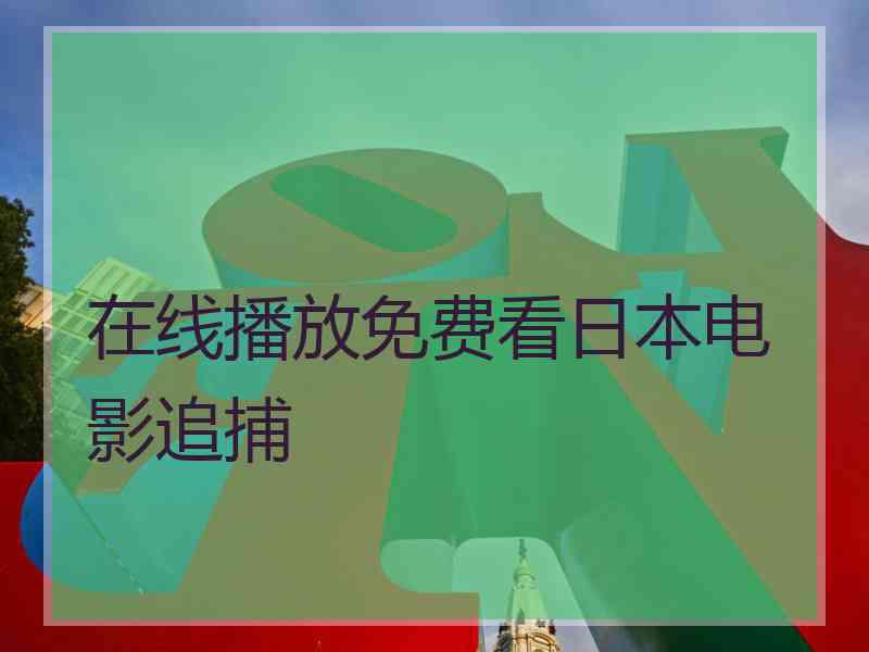 在线播放免费看日本电影追捕