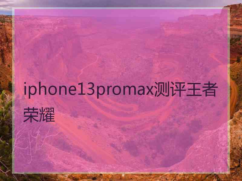 iphone13promax测评王者荣耀