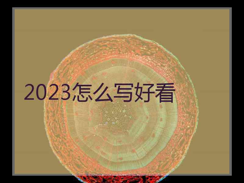 2023怎么写好看