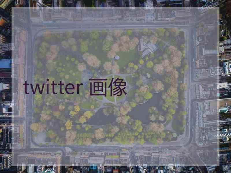 twitter 画像