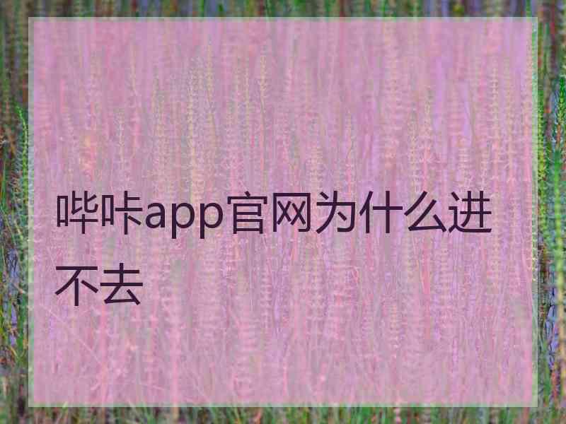 哔咔app官网为什么进不去