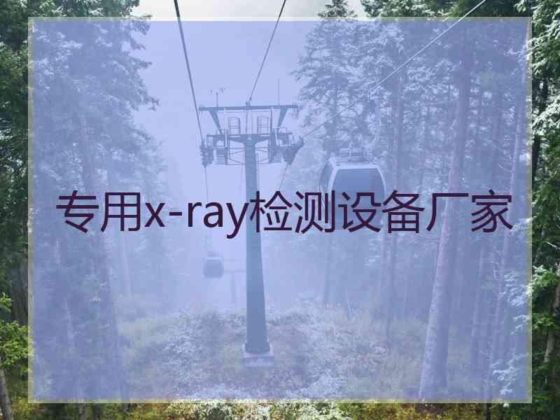 专用x-ray检测设备厂家