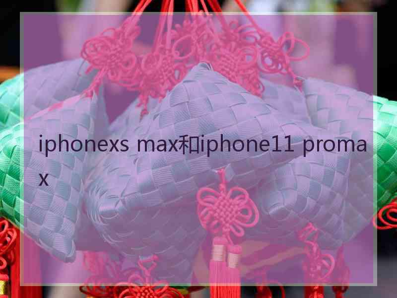 iphonexs max和iphone11 promax