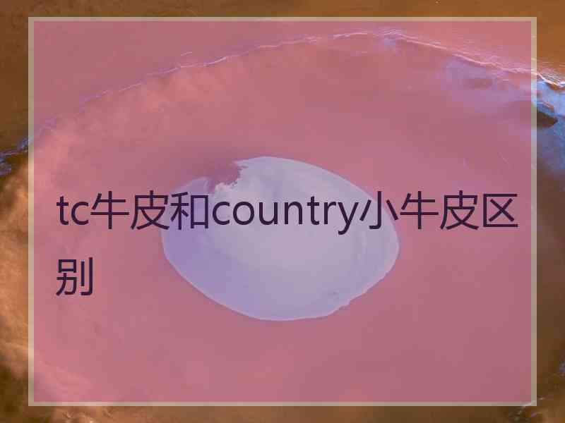 tc牛皮和country小牛皮区别