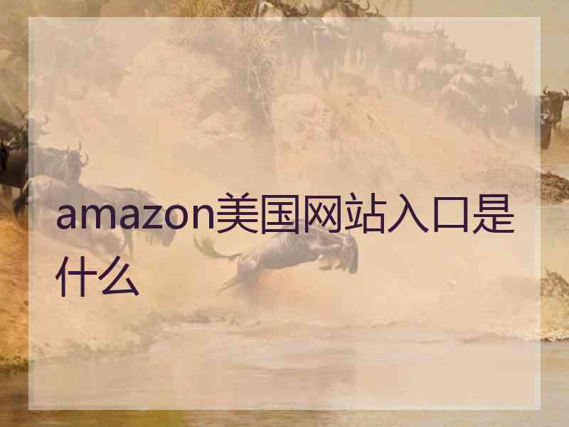 amazon美国网站入口是什么