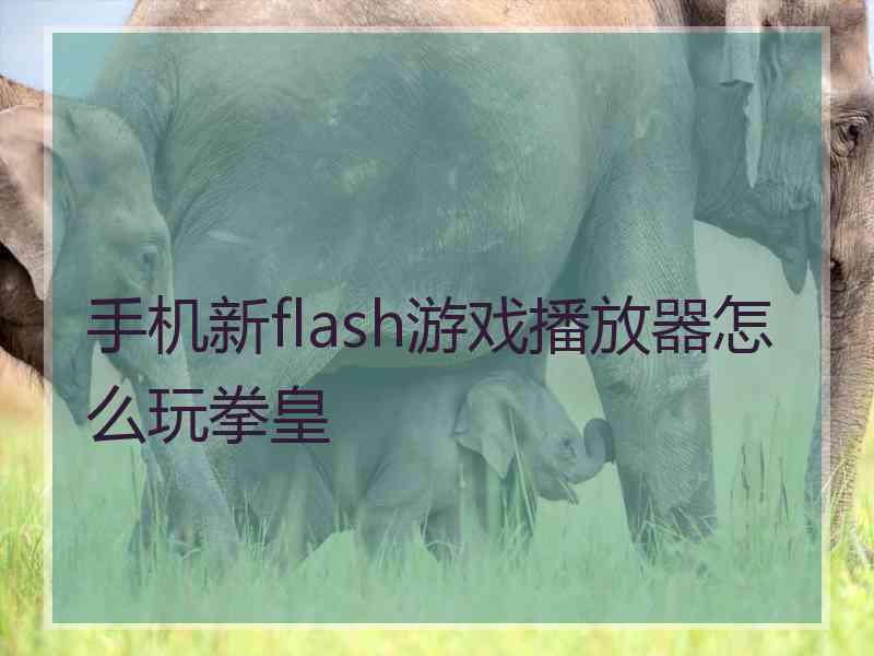 手机新flash游戏播放器怎么玩拳皇