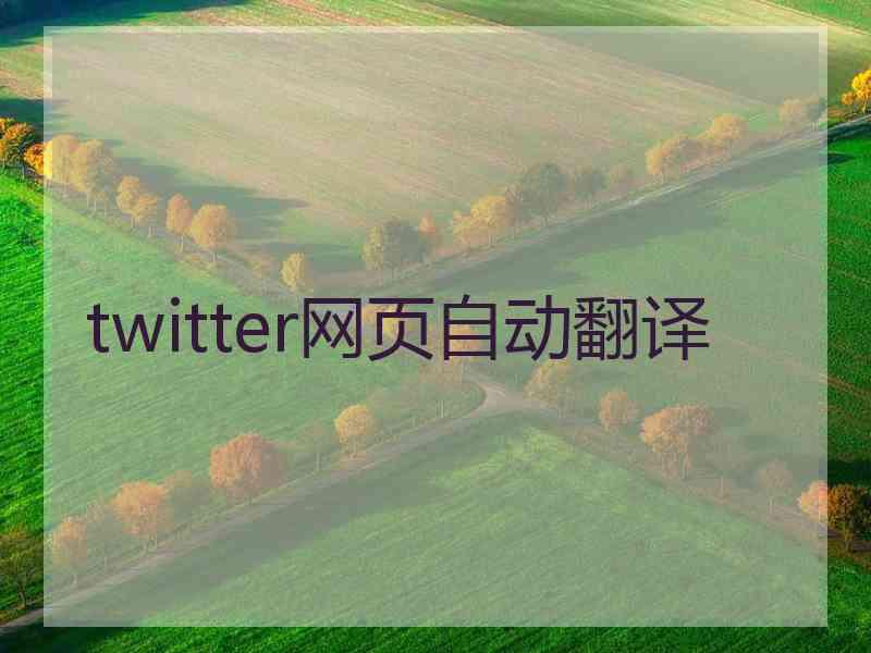 twitter网页自动翻译