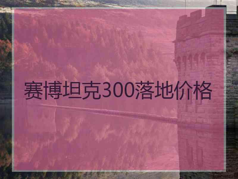 赛博坦克300落地价格