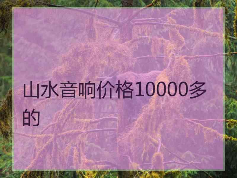 山水音响价格10000多的