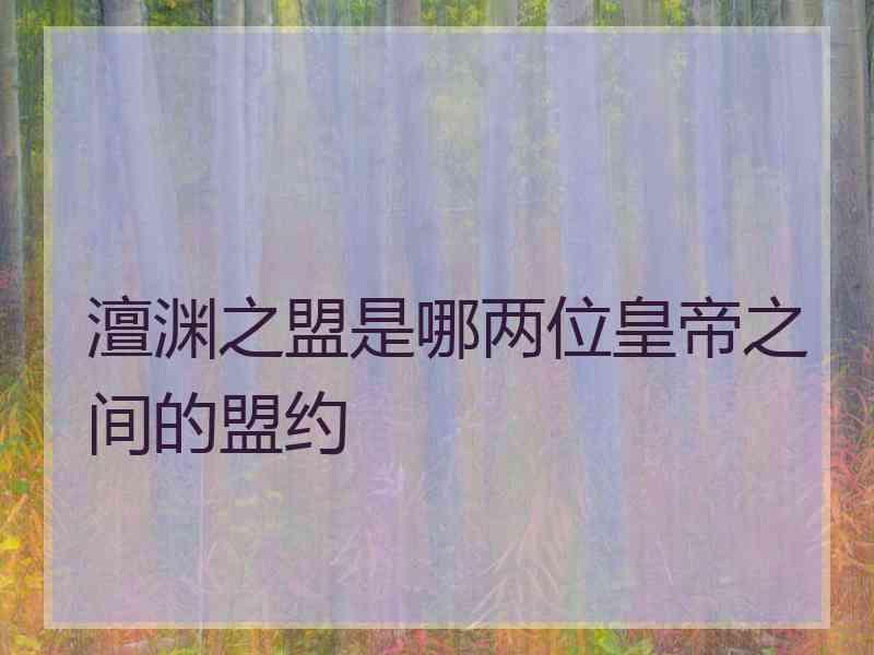 澶渊之盟是哪两位皇帝之间的盟约