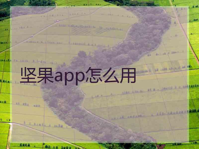 坚果app怎么用