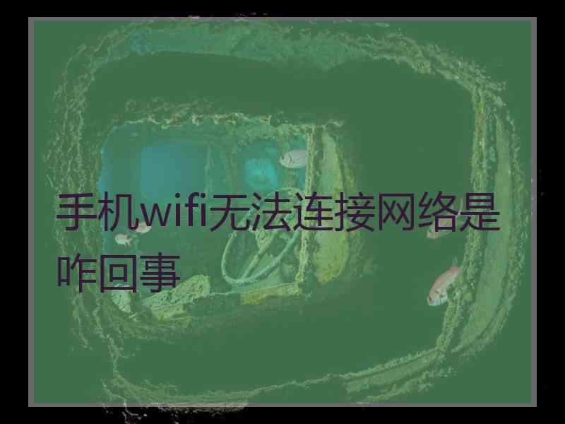 手机wifi无法连接网络是咋回事