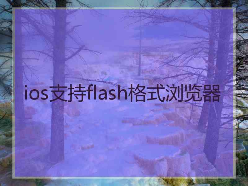 ios支持flash格式浏览器