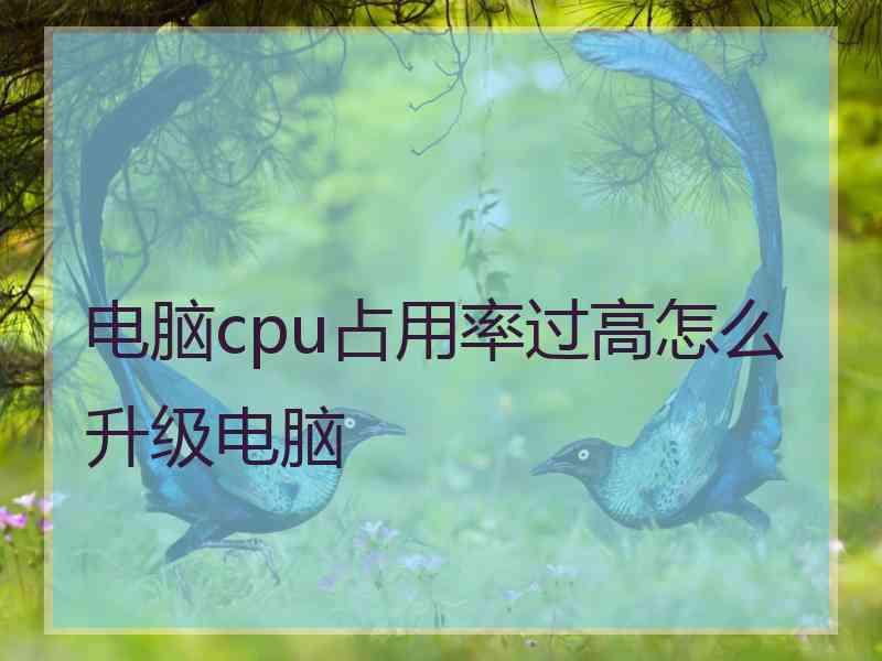 电脑cpu占用率过高怎么升级电脑