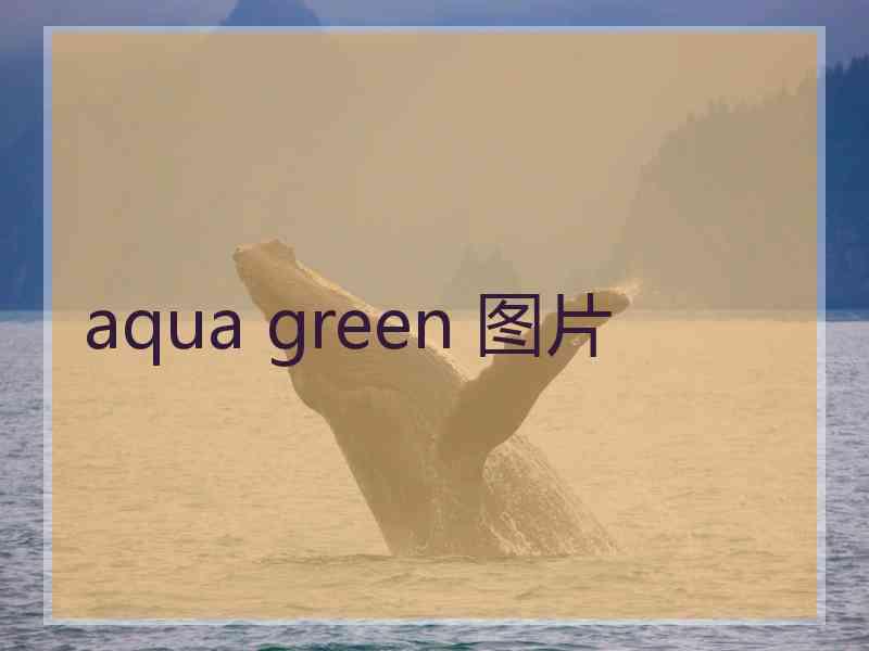 aqua green 图片