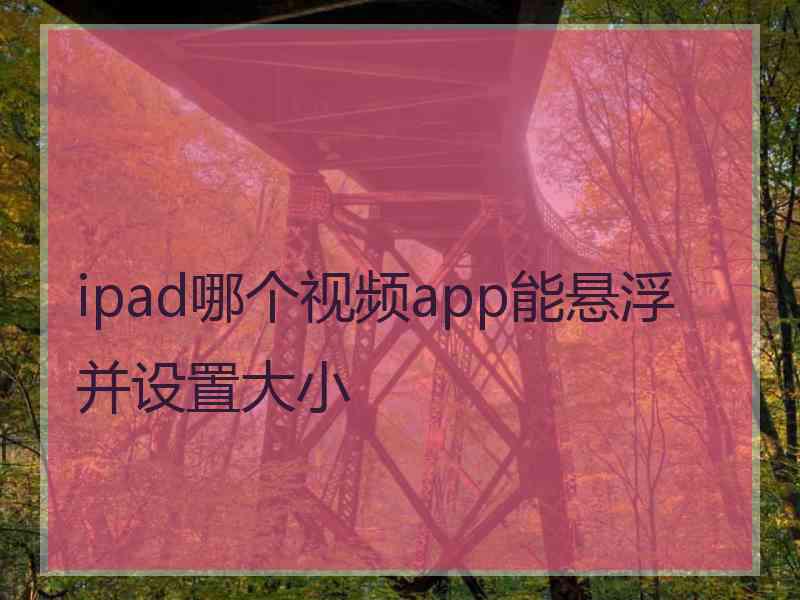 ipad哪个视频app能悬浮并设置大小