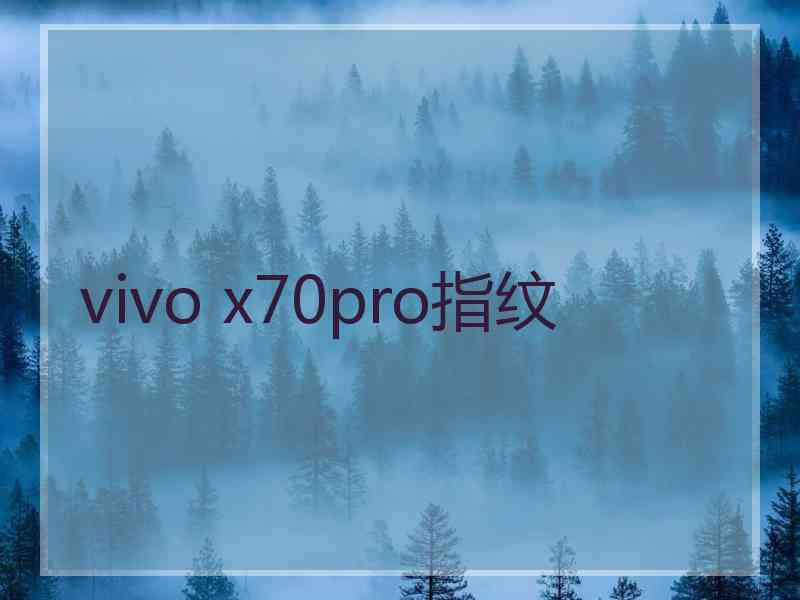 vivo x70pro指纹