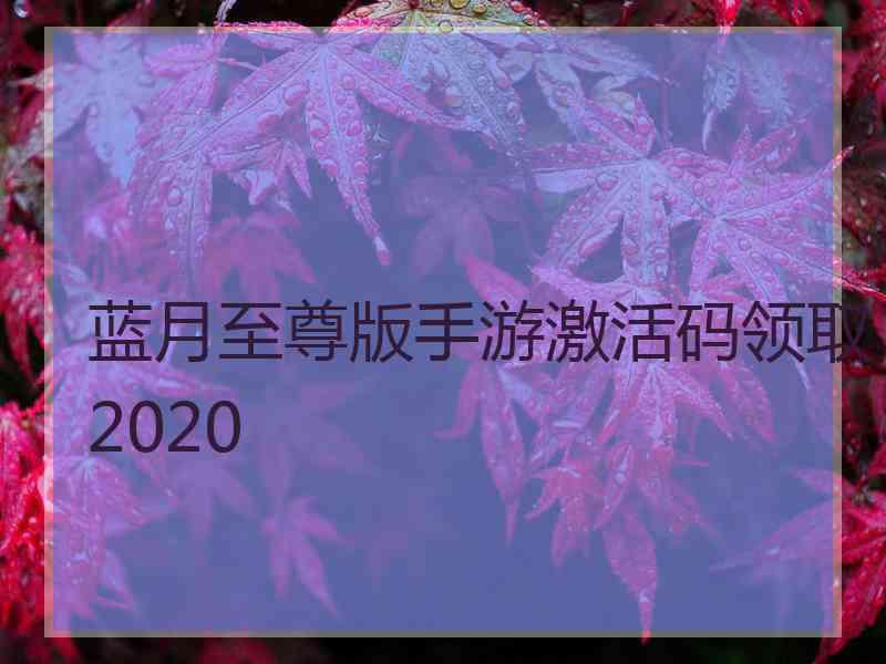 蓝月至尊版手游激活码领取2020