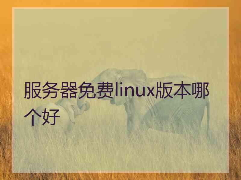 服务器免费linux版本哪个好