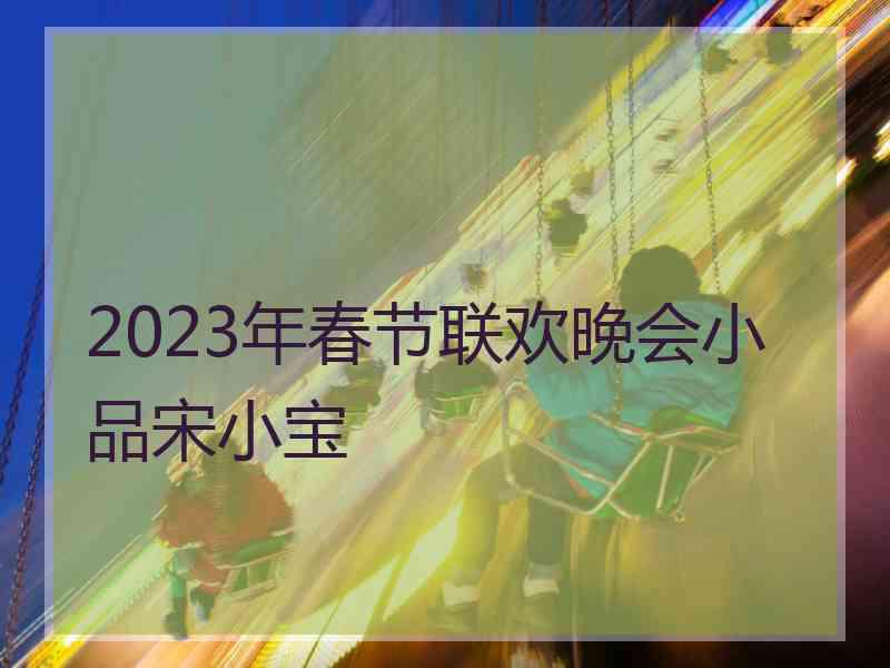 2023年春节联欢晚会小品宋小宝