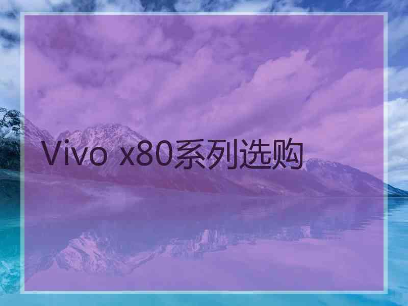 Vivo x80系列选购