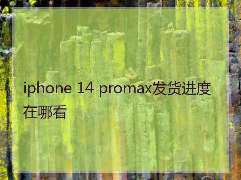 iphone 14 promax发货进度在哪看