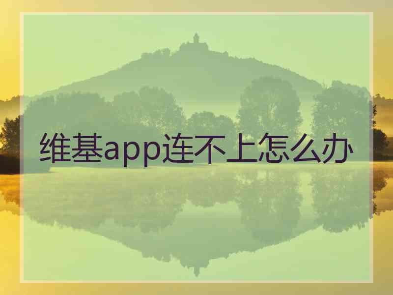 维基app连不上怎么办