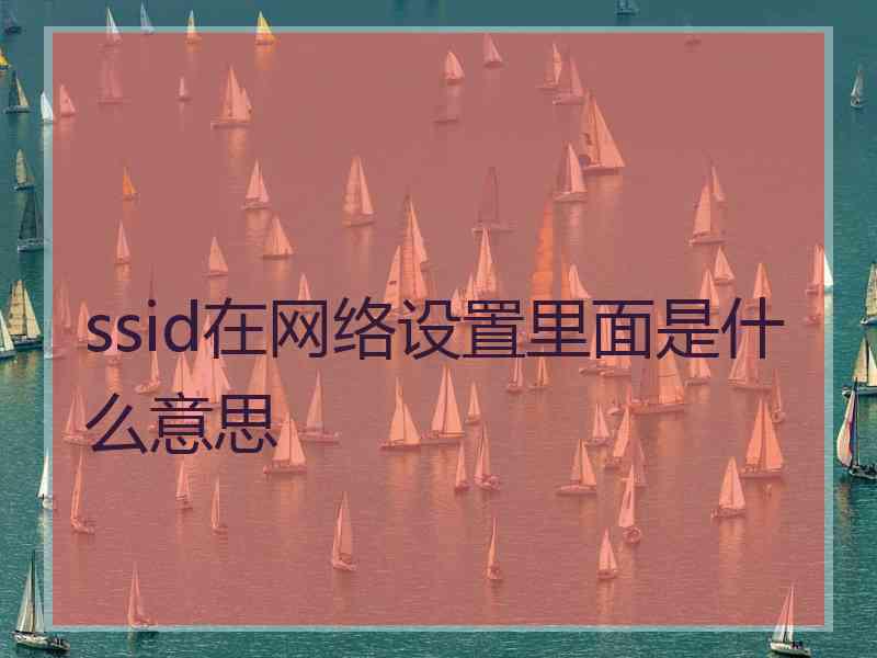 ssid在网络设置里面是什么意思