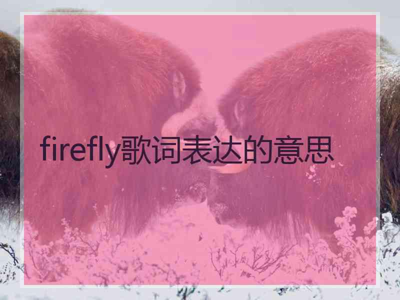 firefly歌词表达的意思