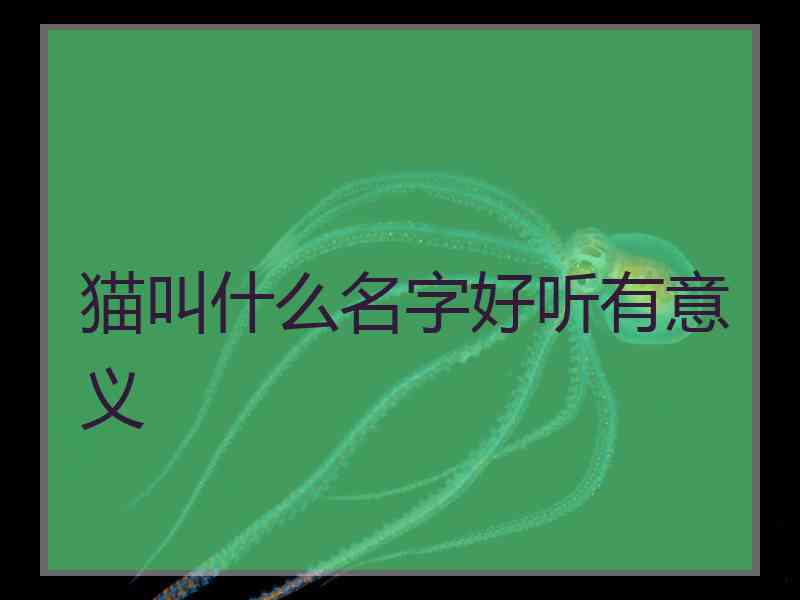 猫叫什么名字好听有意义