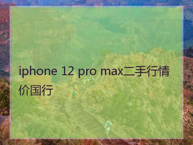 iphone 12 pro max二手行情价国行