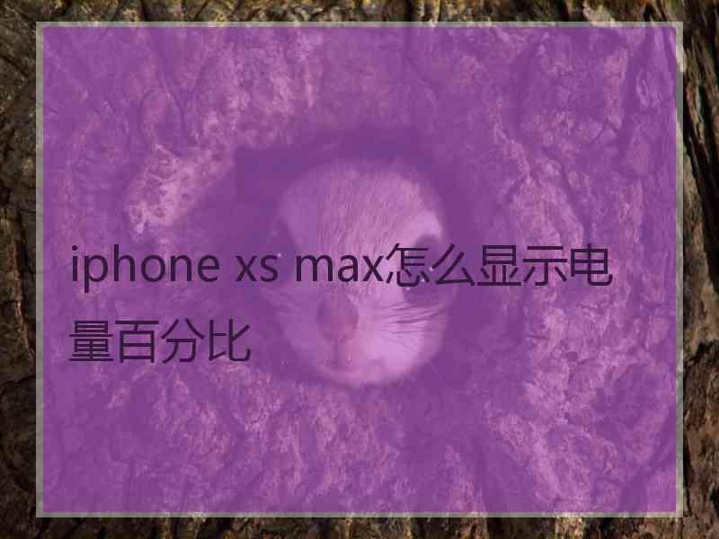 iphone xs max怎么显示电量百分比