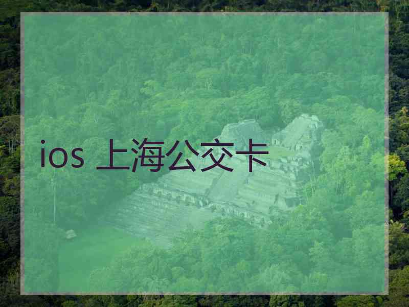 ios 上海公交卡