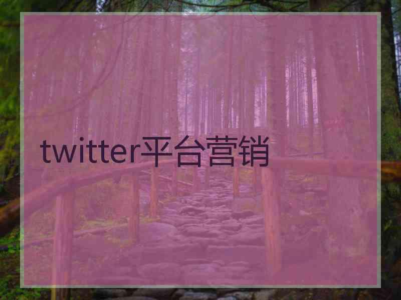 twitter平台营销