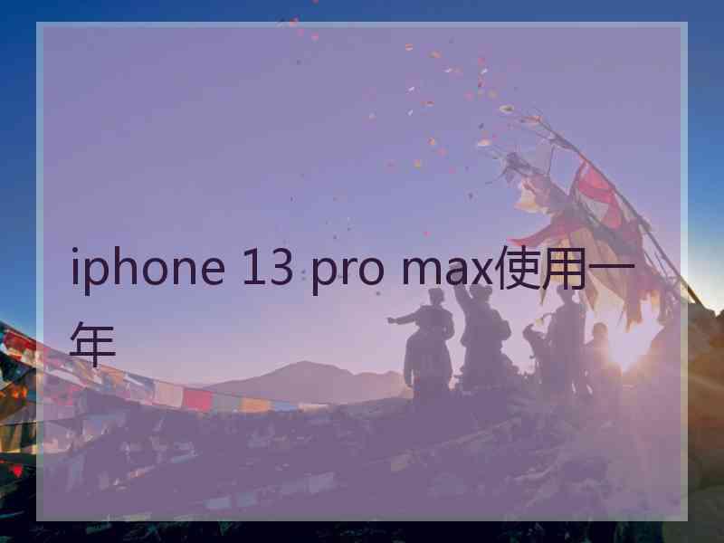 iphone 13 pro max使用一年