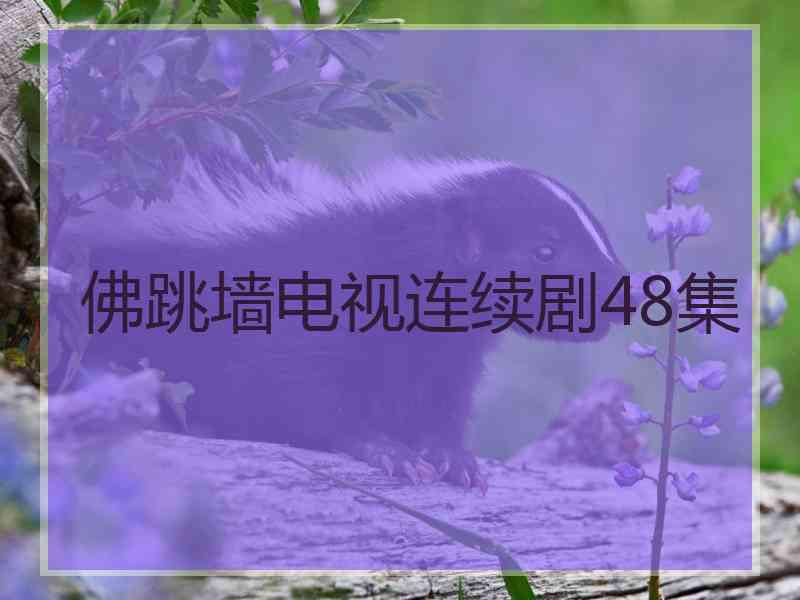 佛跳墙电视连续剧48集