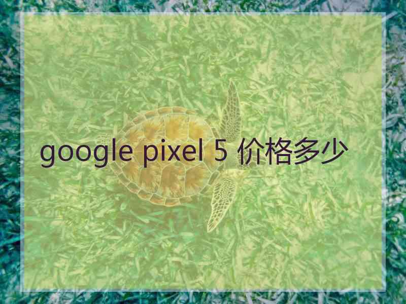 google pixel 5 价格多少