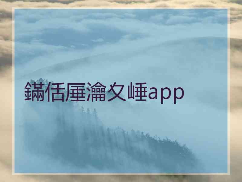 鏋佸厜瀹夊崜app