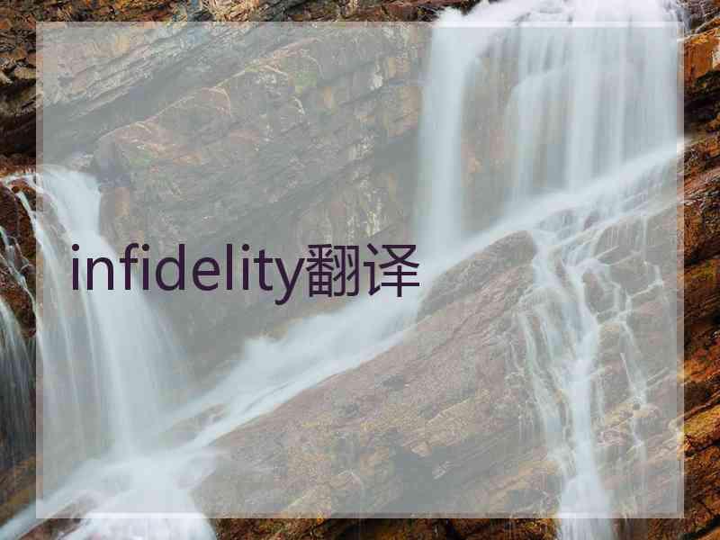 infidelity翻译